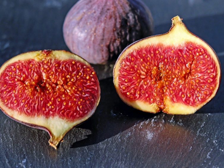 Von der Paßhöhe des Geschmacks in den Urwald des Fraßes