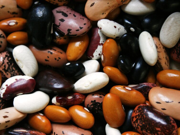 Der Schimmer der Bohnen